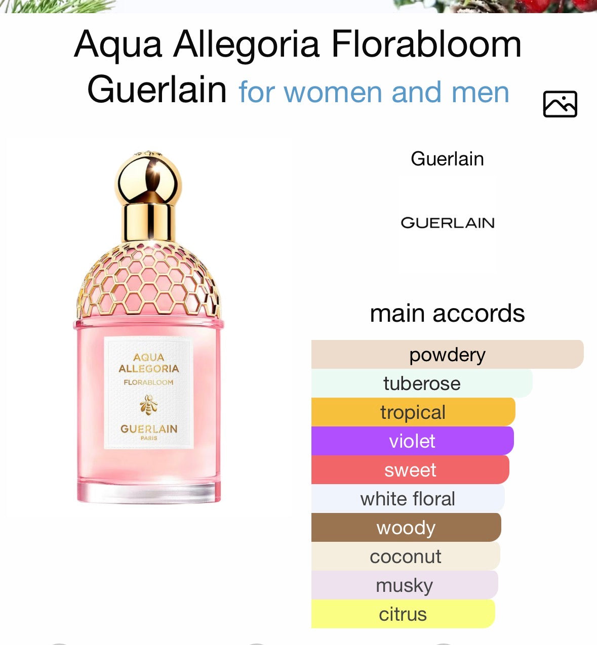 FLORABLOOM (250 ml )